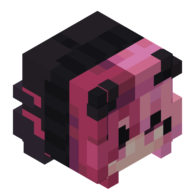 HEAD_ISO