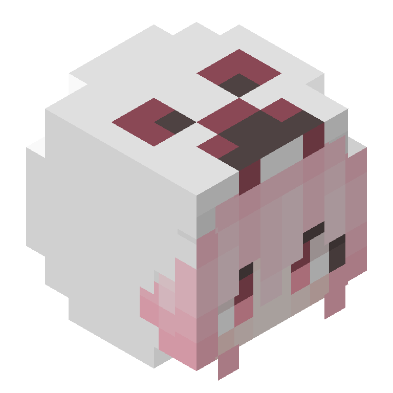 HEAD_ISO