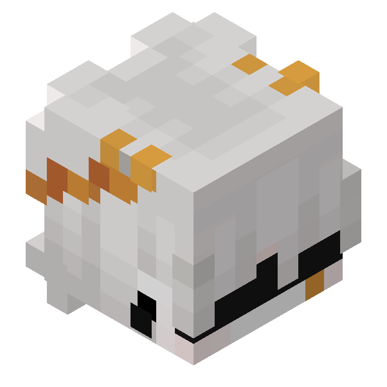 HEAD_ISO