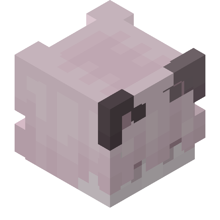 HEAD_ISO