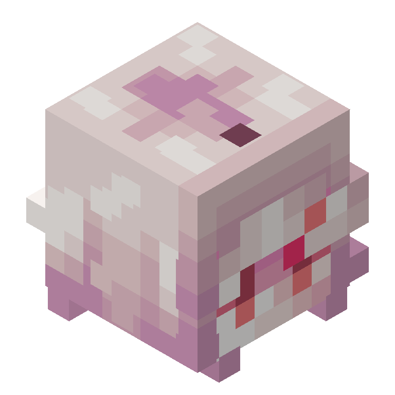 HEAD_ISO
