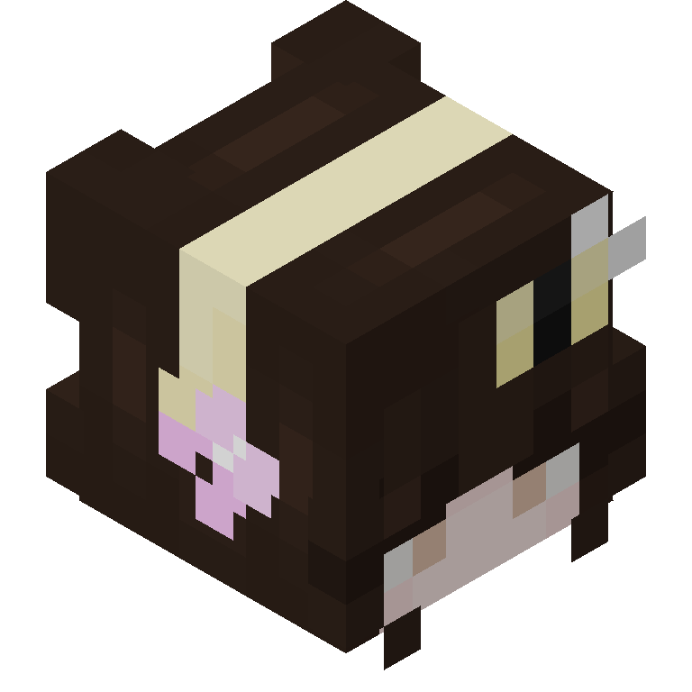 HEAD_ISO
