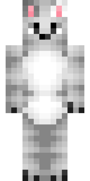BODY