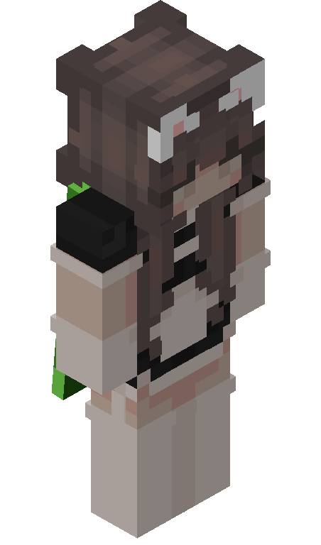 chaogg666 skin - FULLBODY_ISO_FRONT