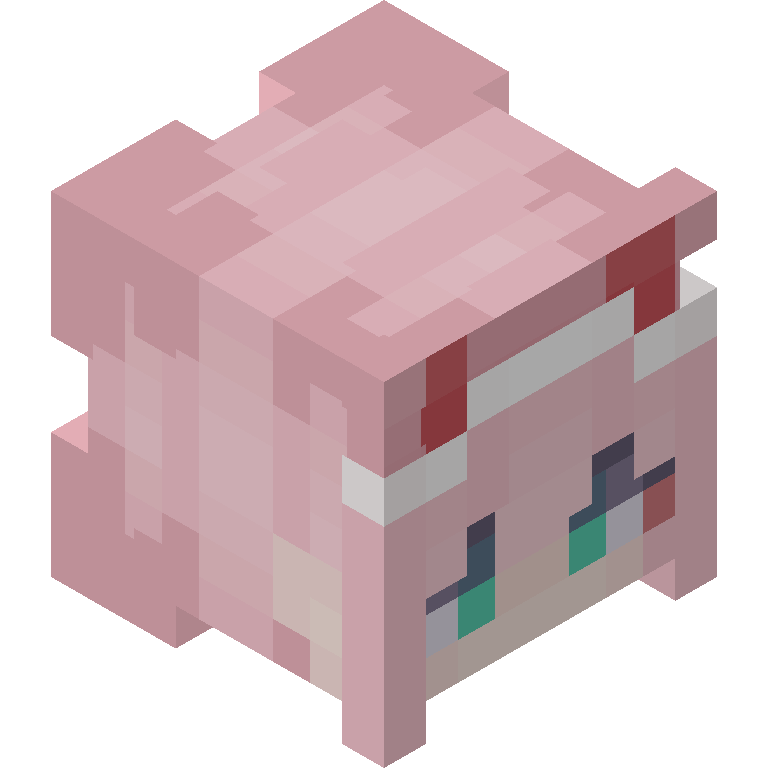 HEAD_ISO
