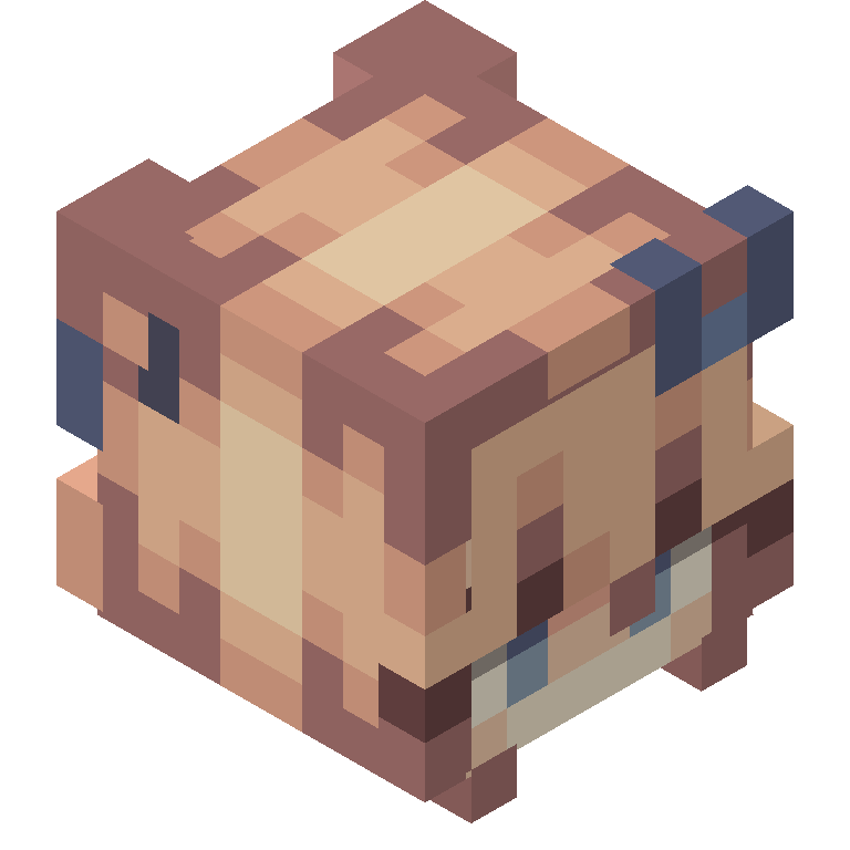 HEAD_ISO