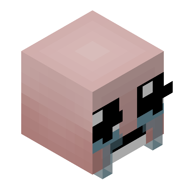 HEAD_ISO