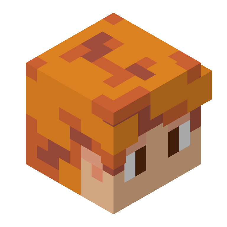 HEAD_ISO