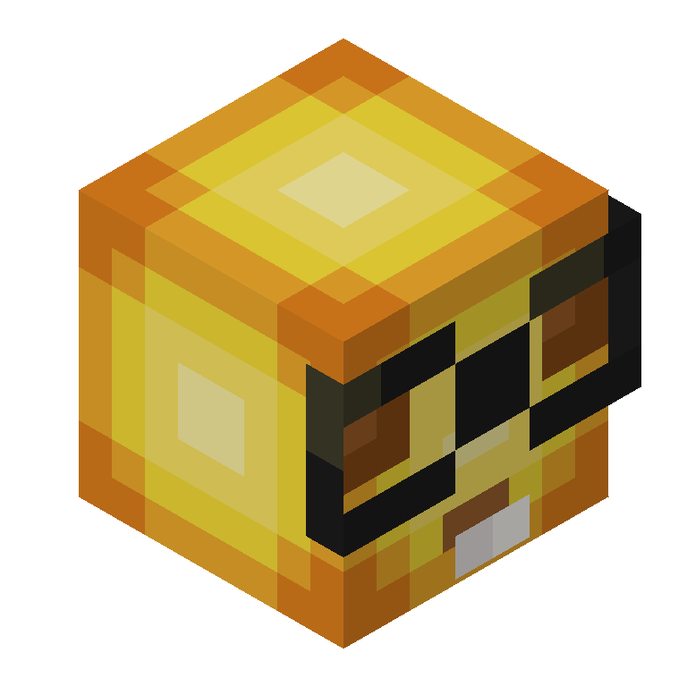 HEAD_ISO