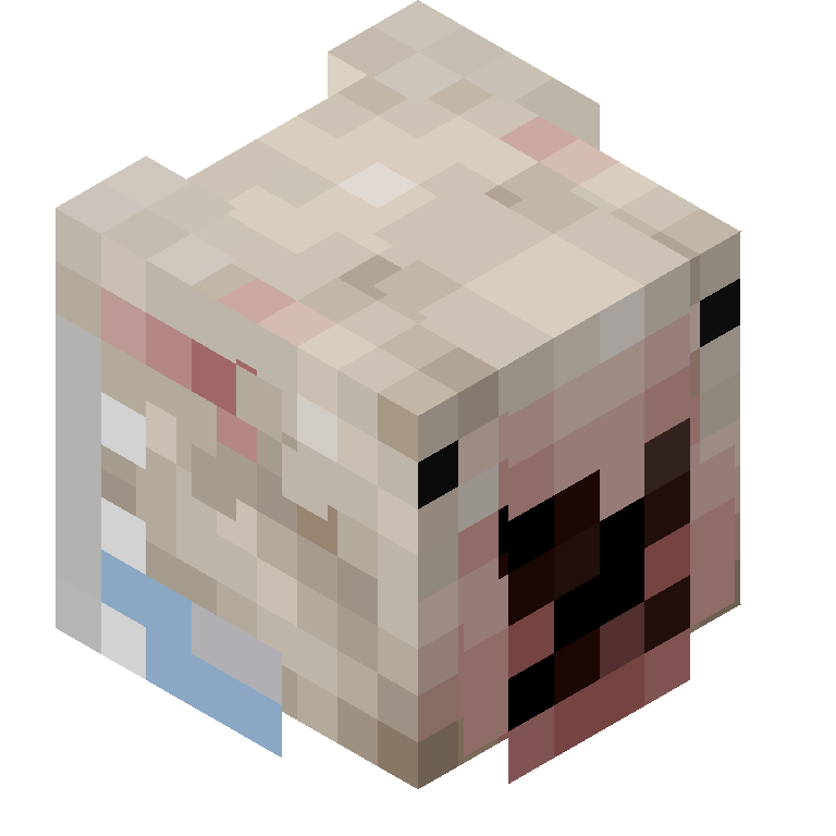 HEAD_ISO