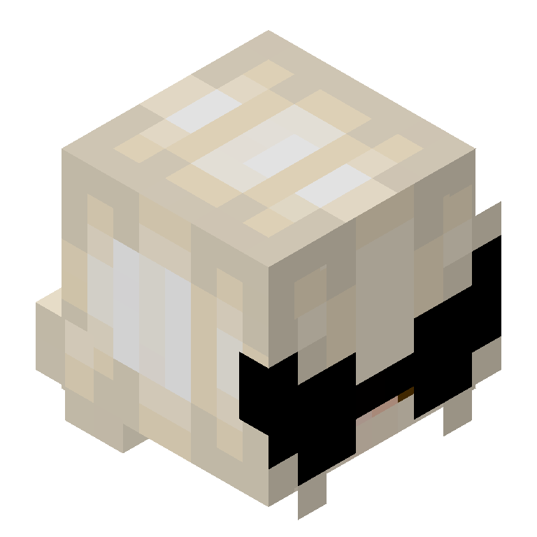 HEAD_ISO
