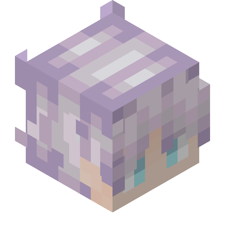 HEAD_ISO