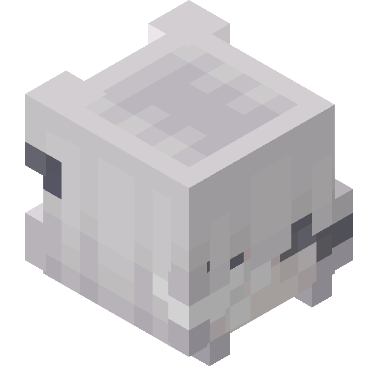 HEAD_ISO