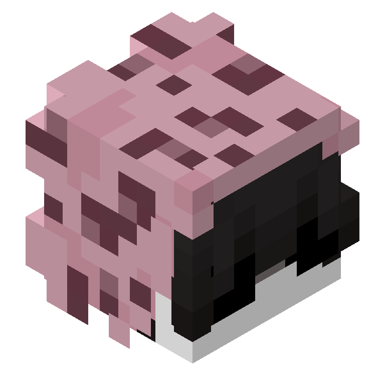 HEAD_ISO