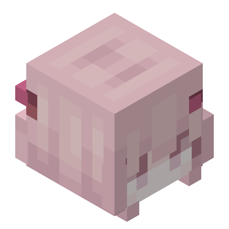 HEAD_ISO