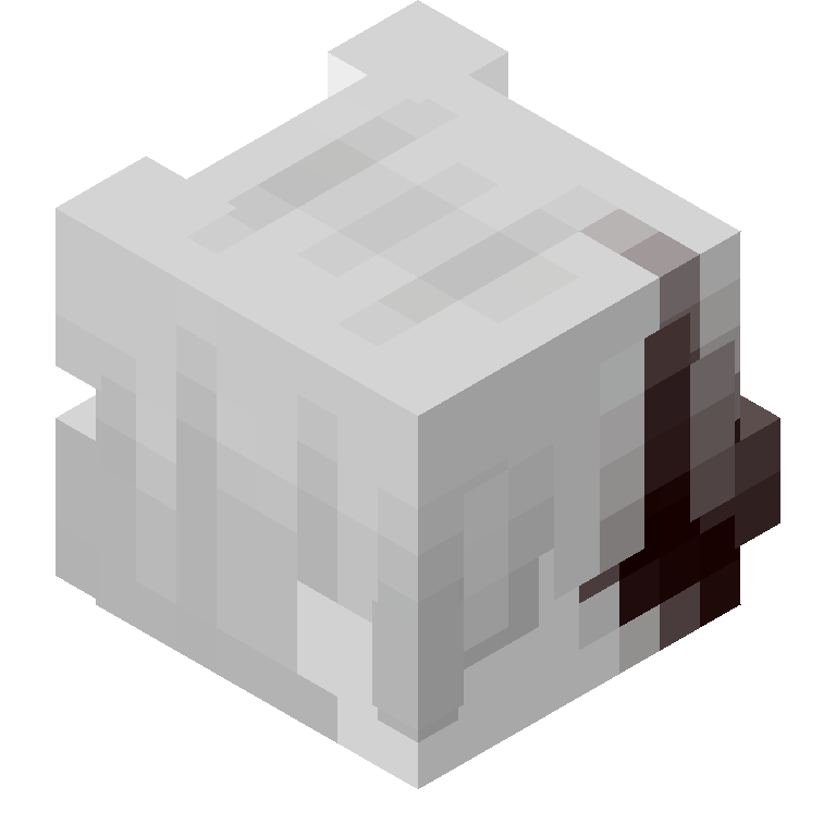 HEAD_ISO