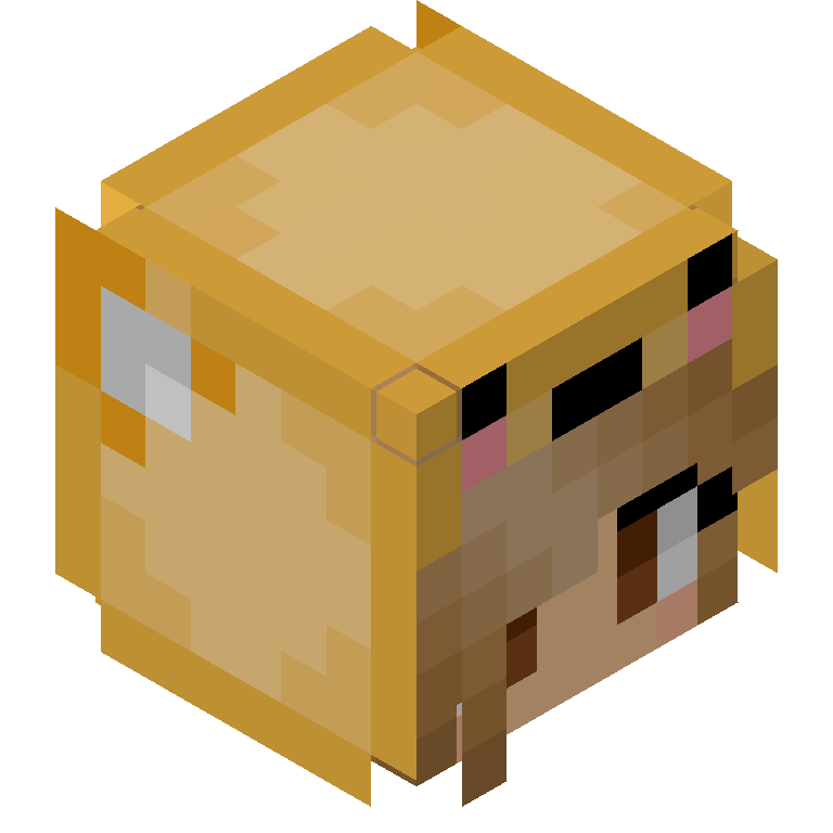HEAD_ISO