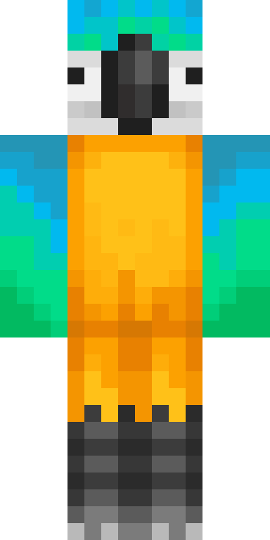 BODY