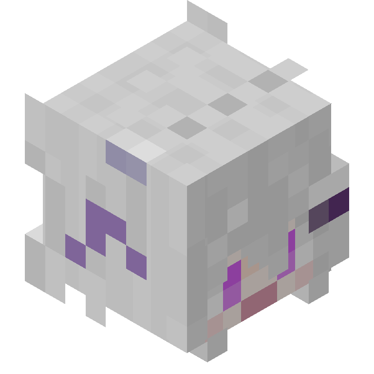 HEAD_ISO