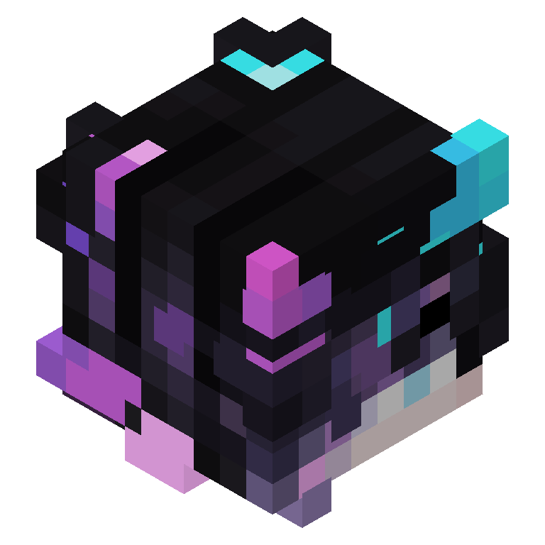 HEAD_ISO