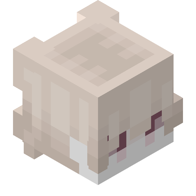 HEAD_ISO