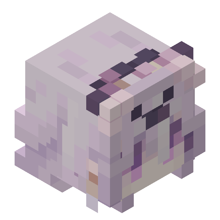 HEAD_ISO