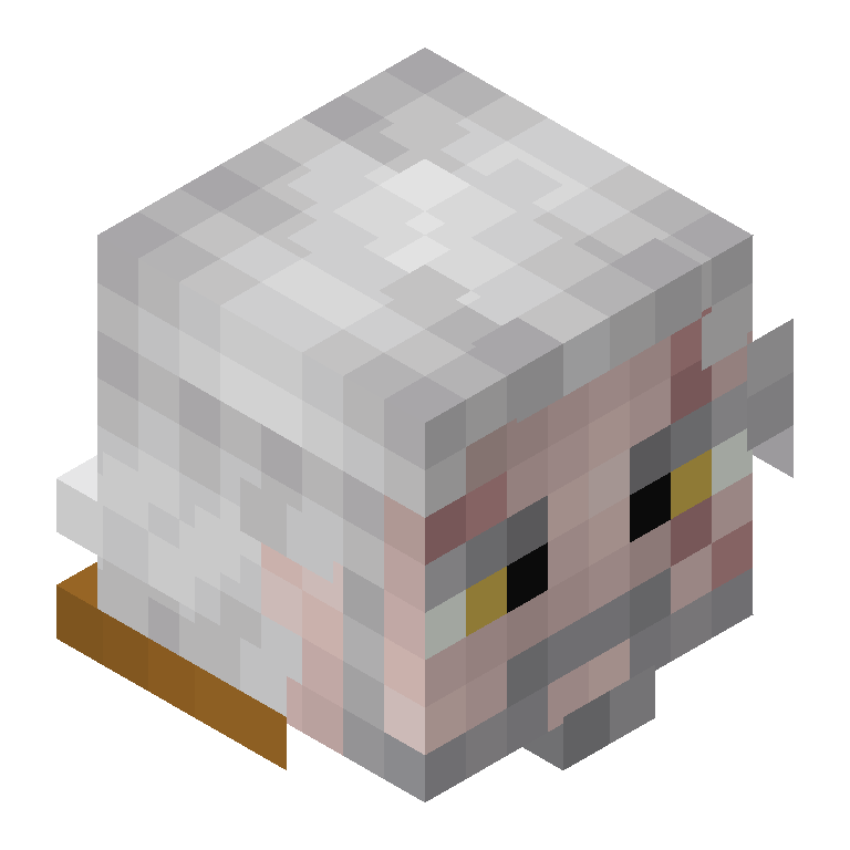HEAD_ISO