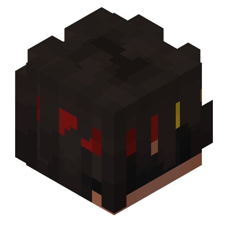 HEAD_ISO