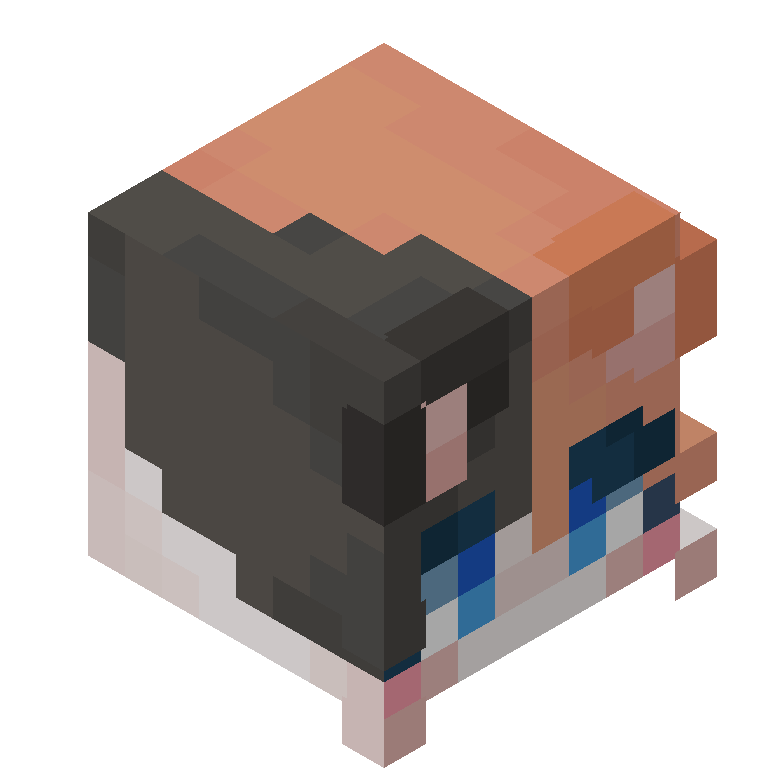 HEAD_ISO