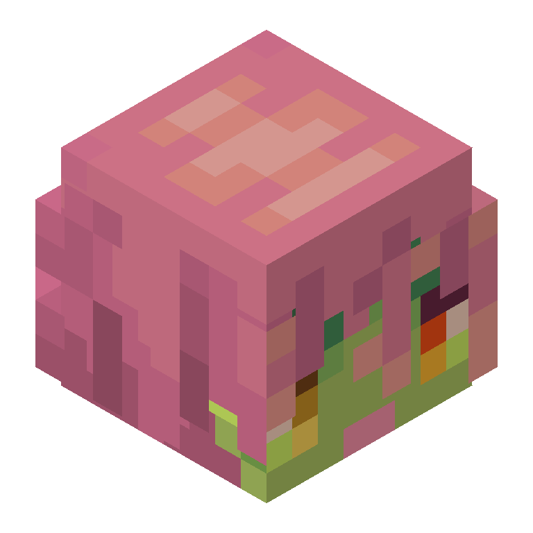 HEAD_ISO