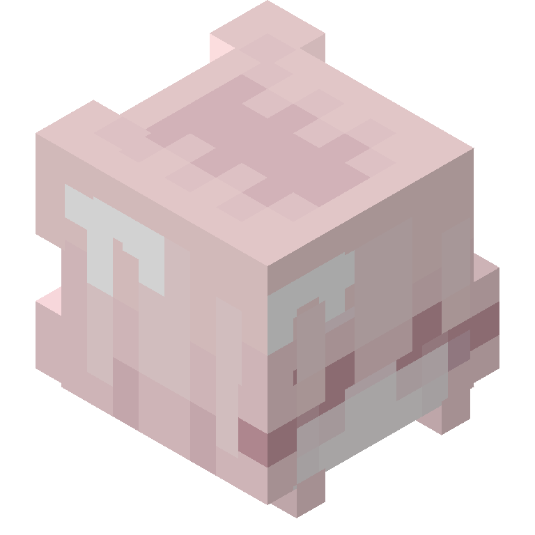 HEAD_ISO