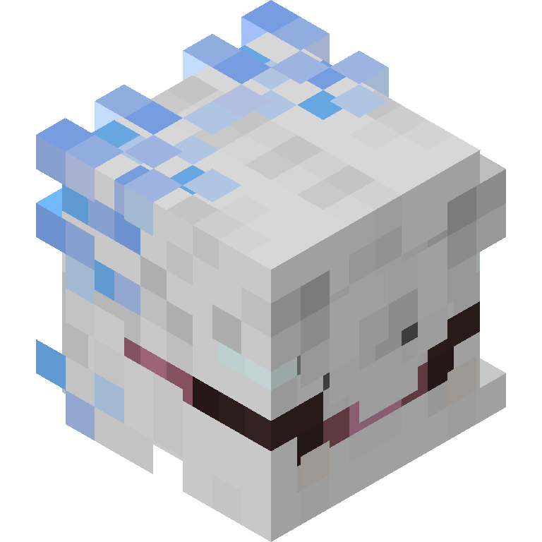 HEAD_ISO