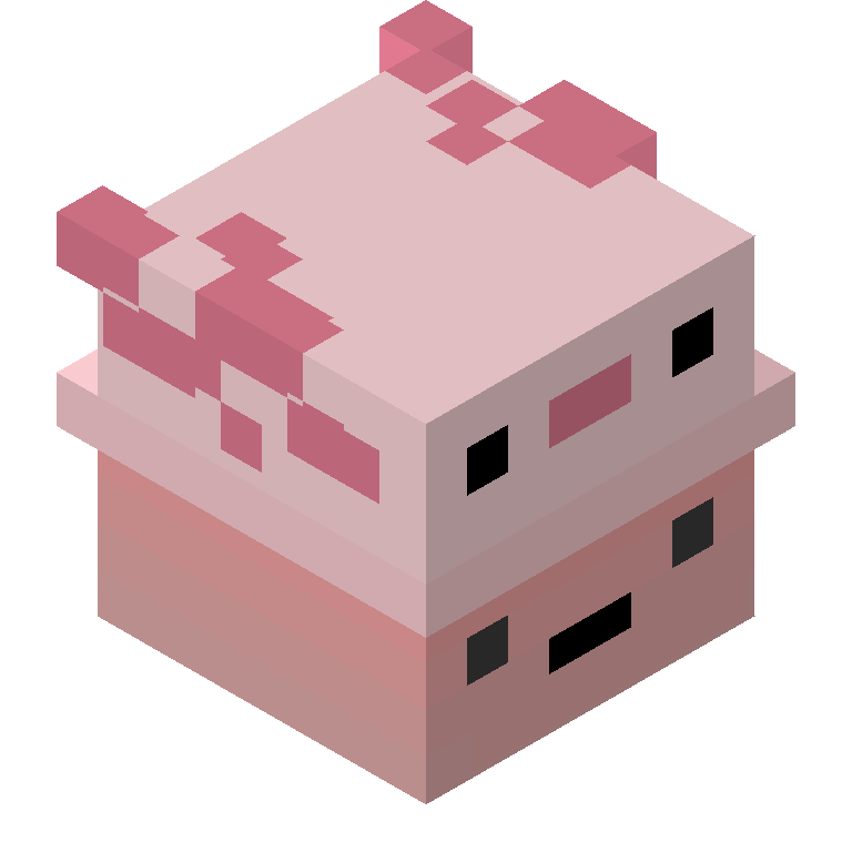 HEAD_ISO