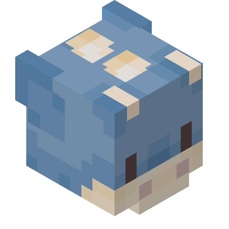 HEAD_ISO