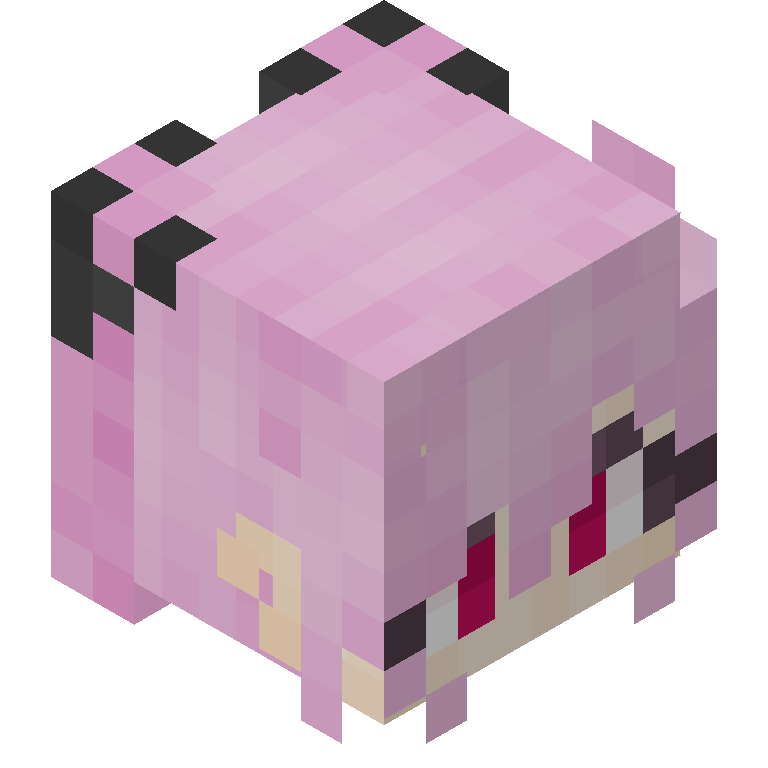 HEAD_ISO