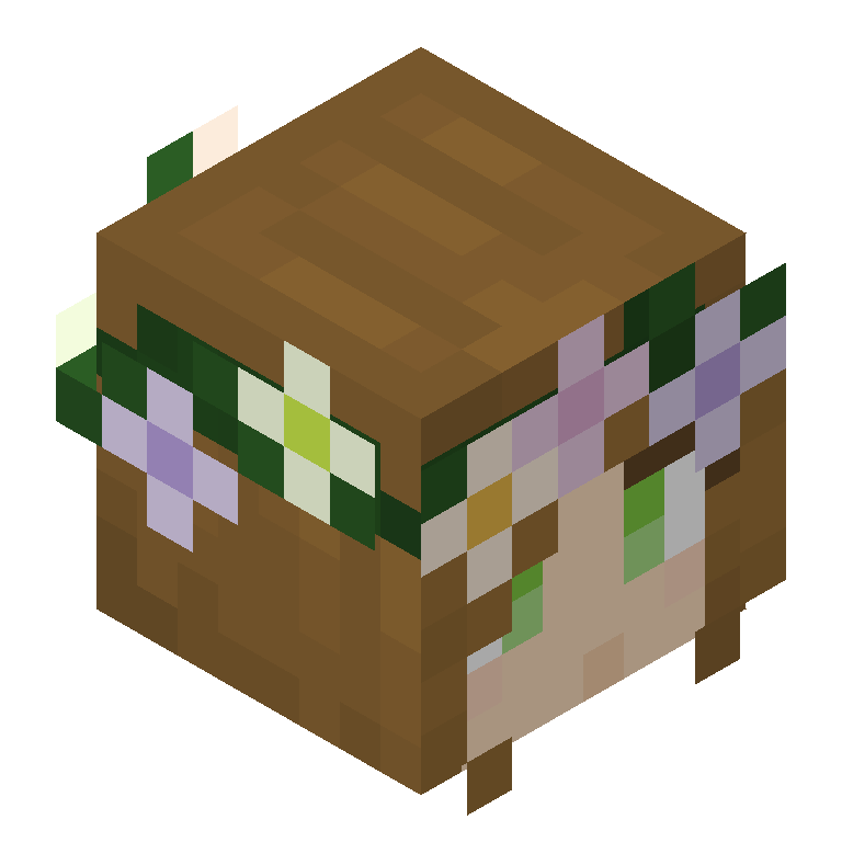 HEAD_ISO