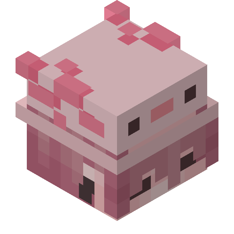 HEAD_ISO