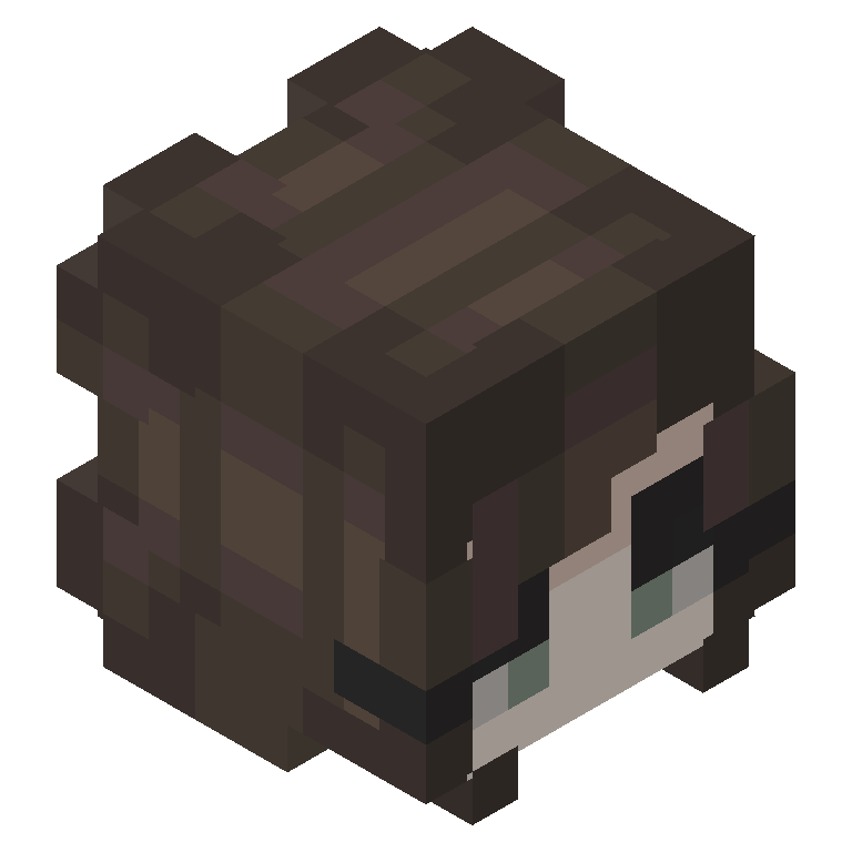 HEAD_ISO