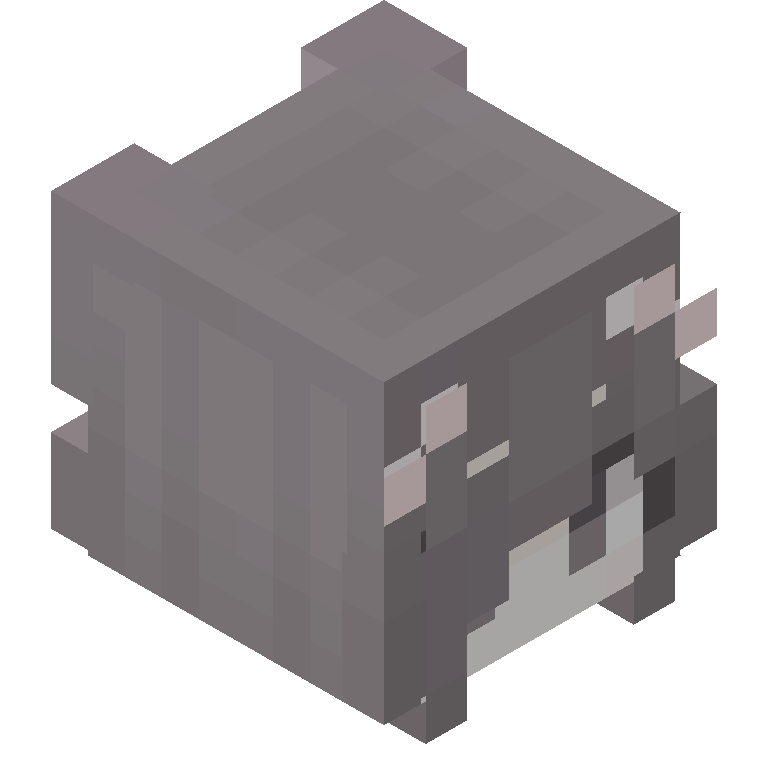 HEAD_ISO