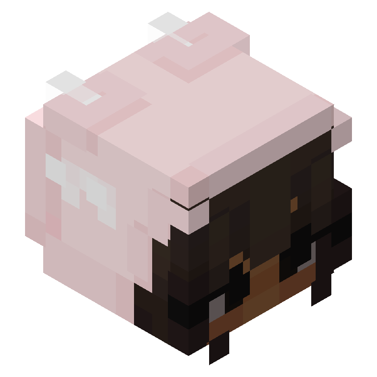 HEAD_ISO
