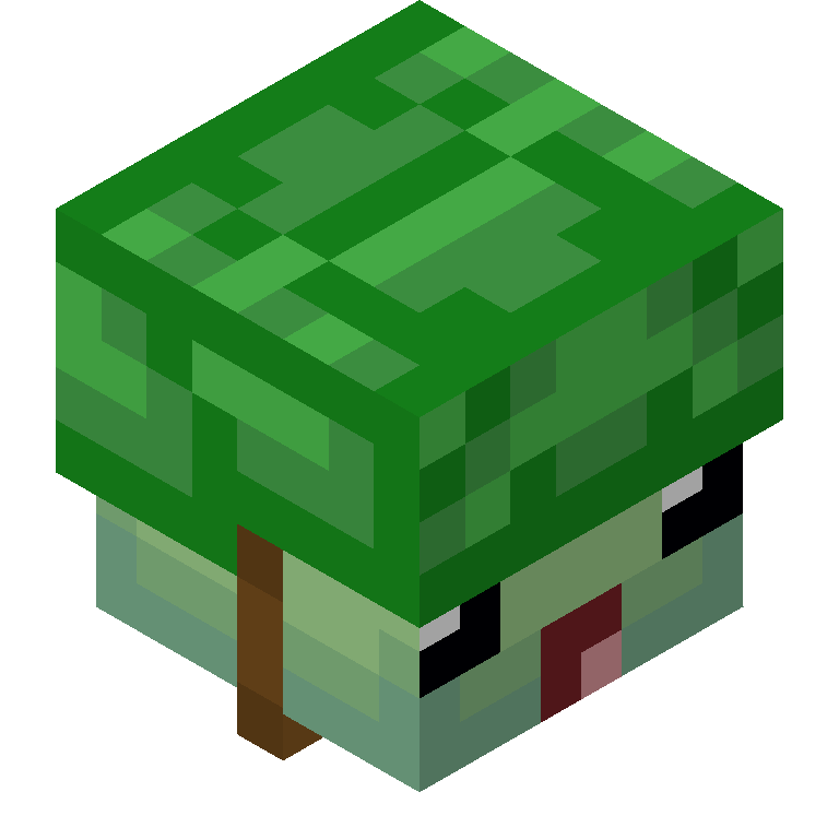 HEAD_ISO