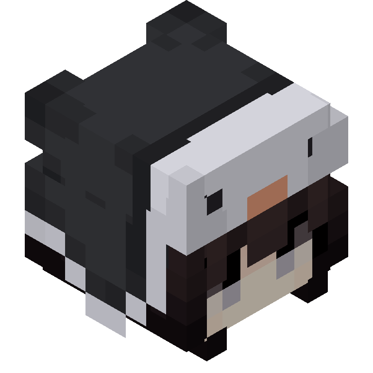 HEAD_ISO