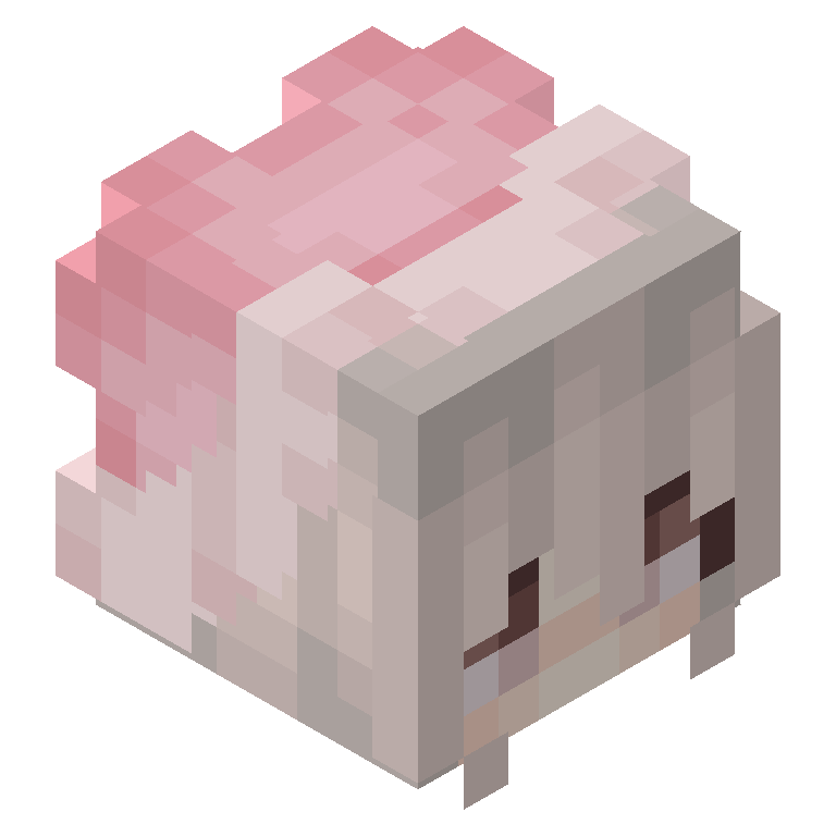 HEAD_ISO