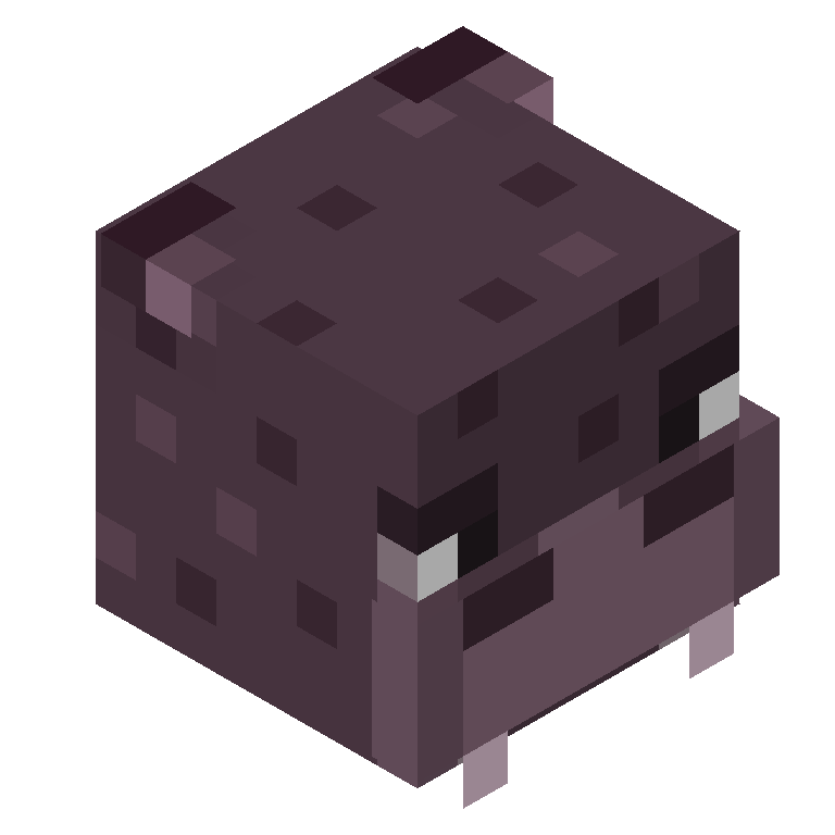 HEAD_ISO