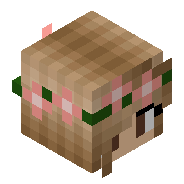 HEAD_ISO