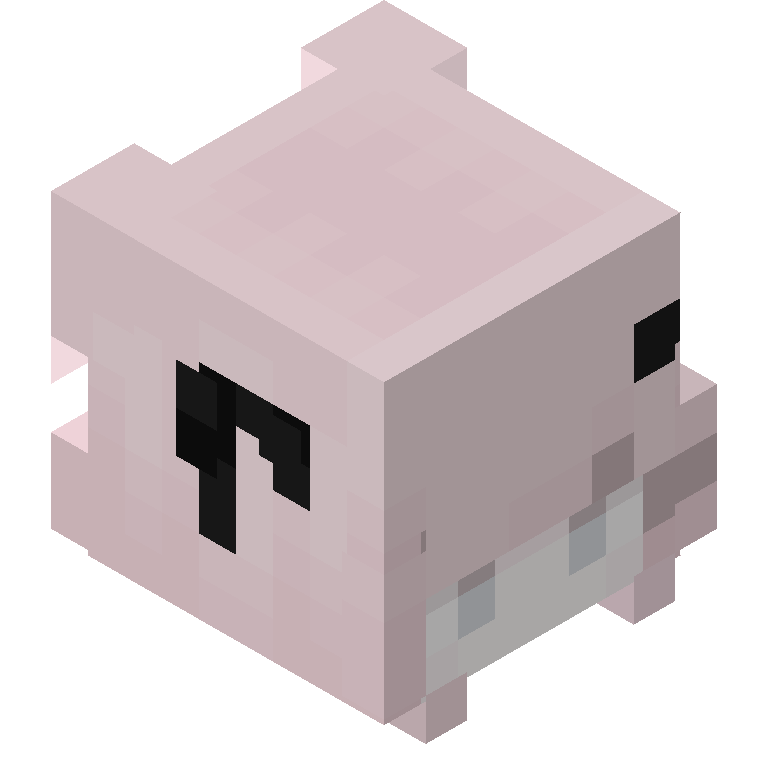 HEAD_ISO