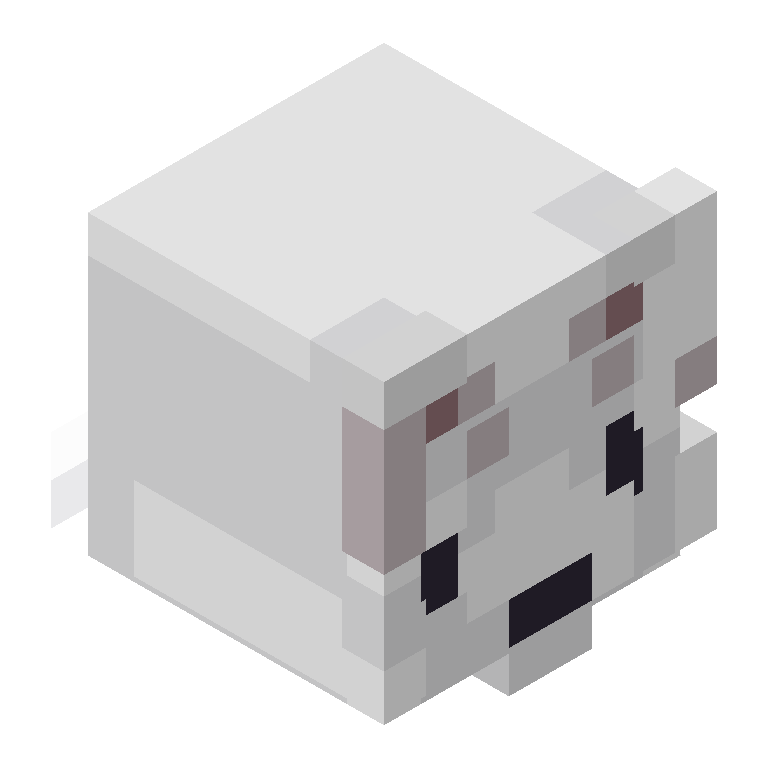 HEAD_ISO