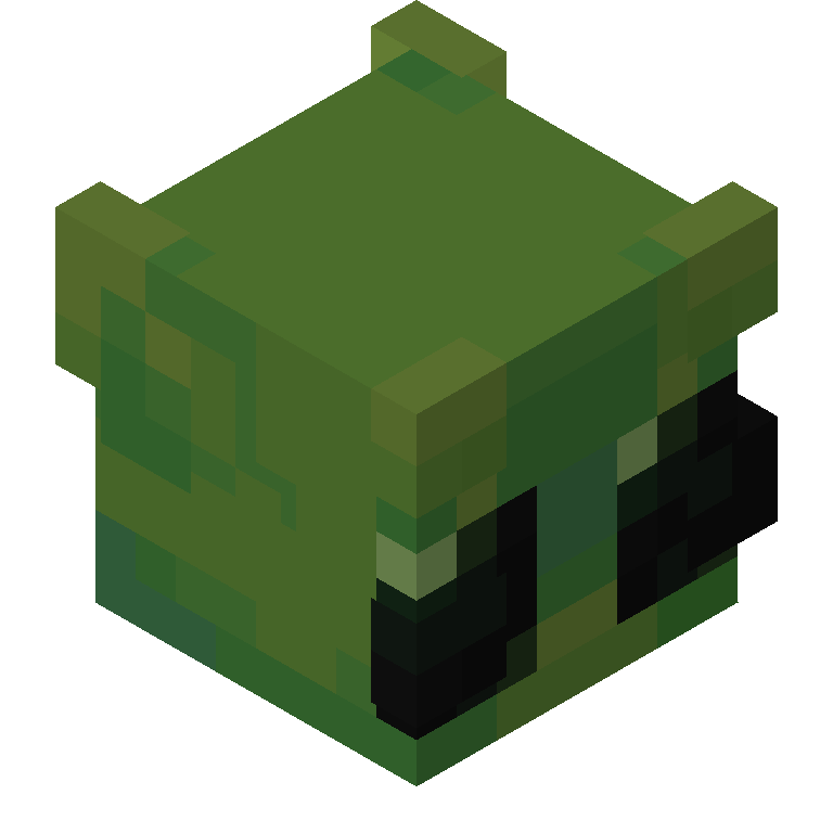 HEAD_ISO
