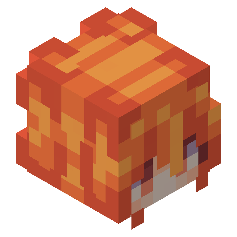 HEAD_ISO