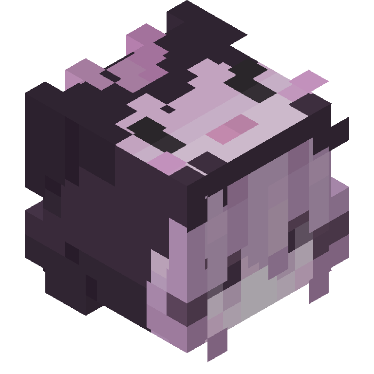 HEAD_ISO